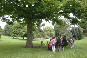 Visite de l'Arboretum